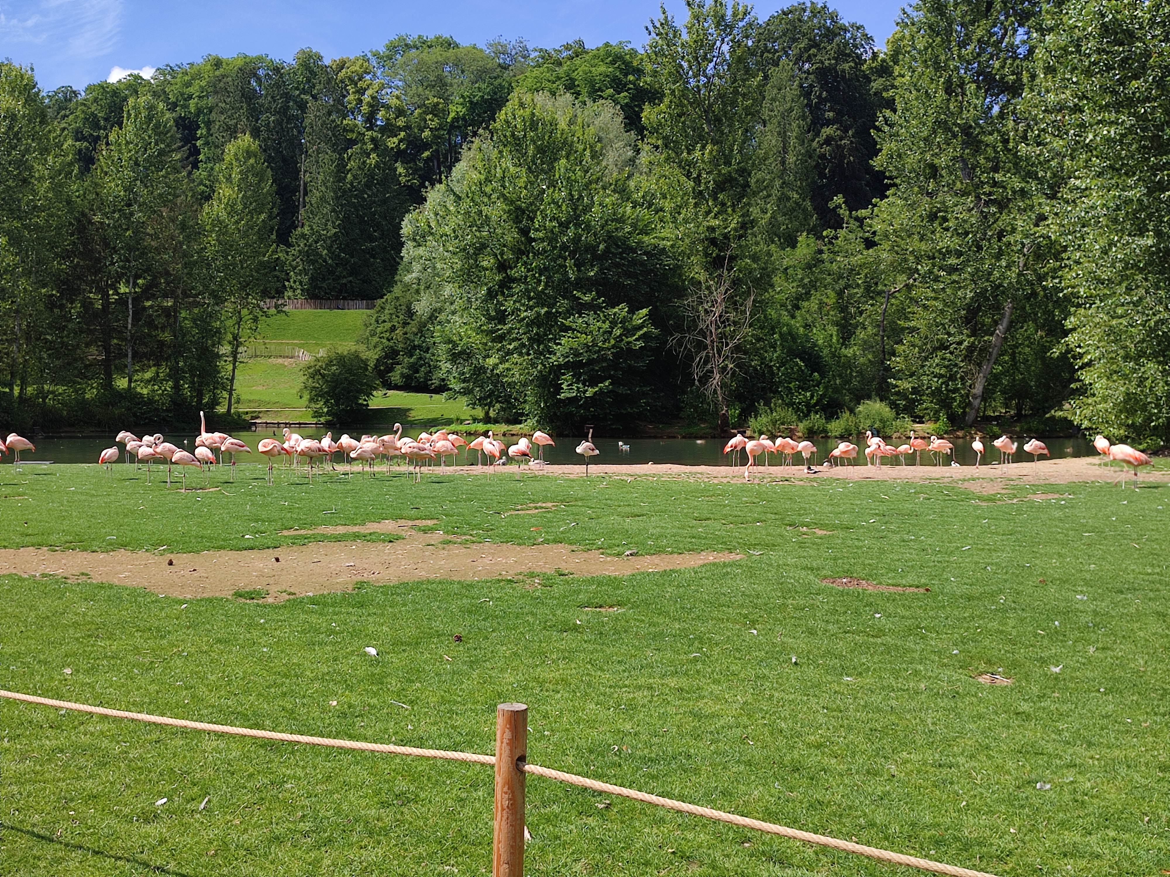 Photo n° 3 de l'avis de Charline.o fait le 26/06/2023 à 19:57