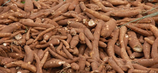 Top 3 cửa hàng bkav Huyện Tân Châu Tây Ninh 2022