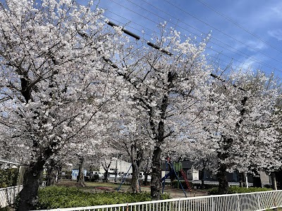 吉田林児童公園