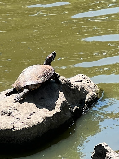 Park «Fords Park», reviews and photos, King Georges Rd, Woodbridge, NJ 07095, USA