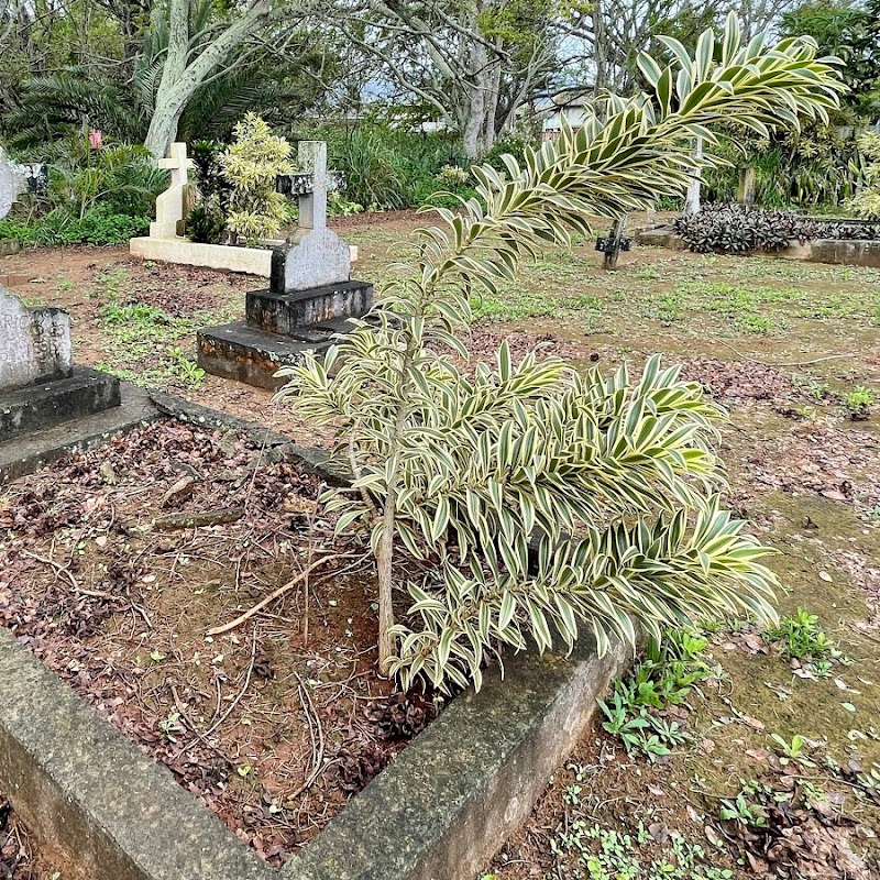 Puuiki cemetery