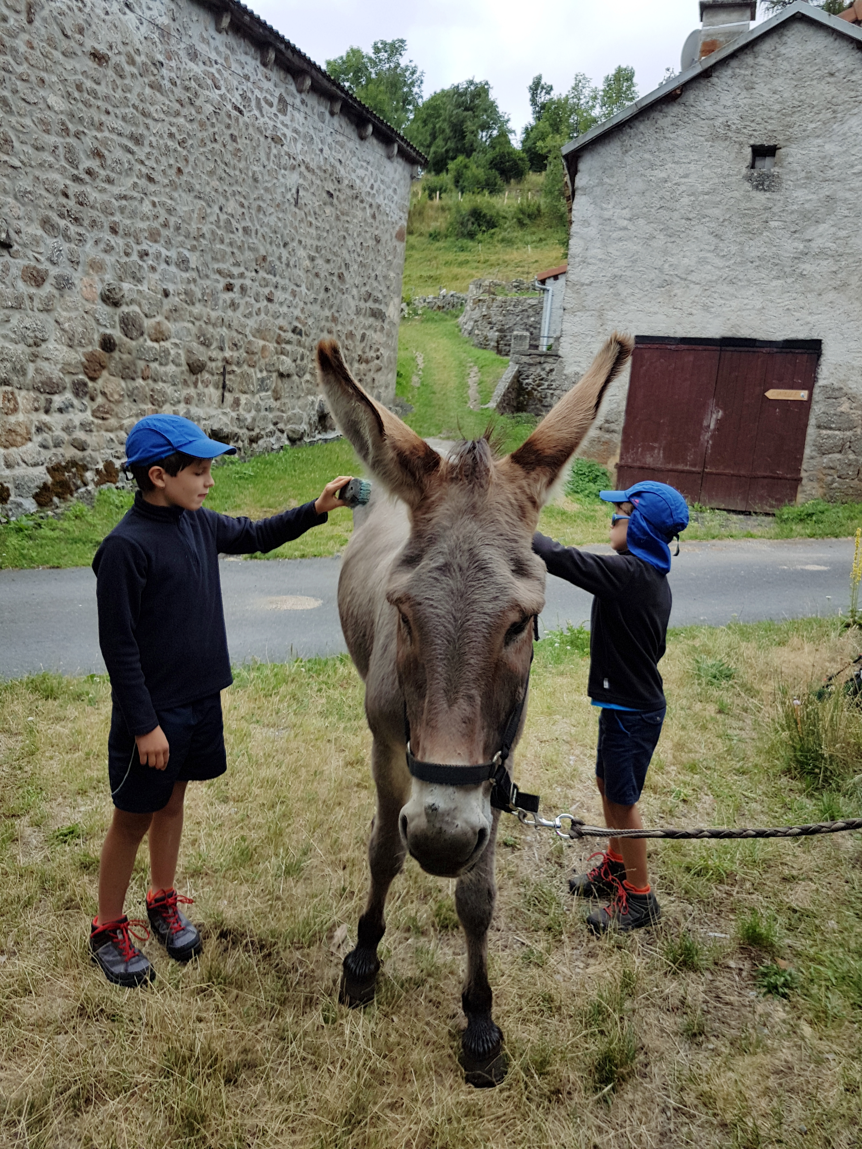 Photo n° 2 de l'avis de Mathilde.e fait le 04/08/2019 à 09:10