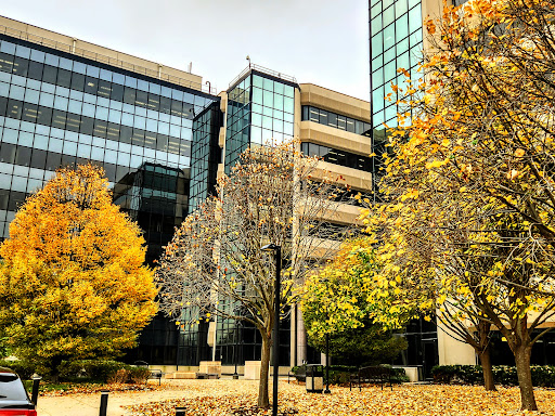 Insurance Agency «Cincinnati Insurance Co», reviews and photos