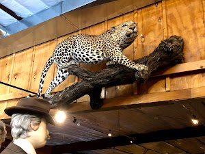 Messengers Old West Museum - photo 93