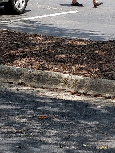 Golf Club «Fox Creek Golf Course & Driving Range», reviews and photos, 1501 Windy Hill Rd SE, Smyrna, GA 30080, USA