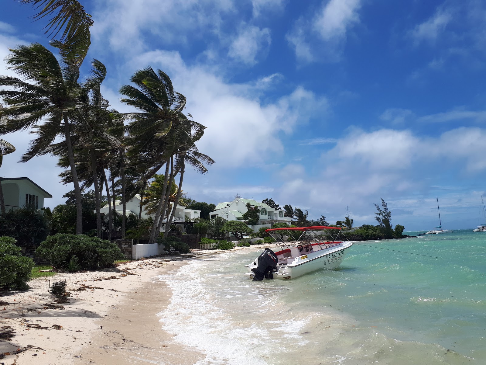 Foto av La Pelouse Beach med hög nivå av renlighet