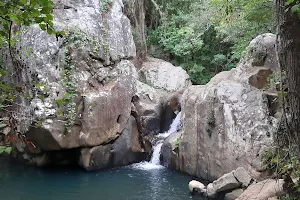 Parque Natural Los Alcornocales image
