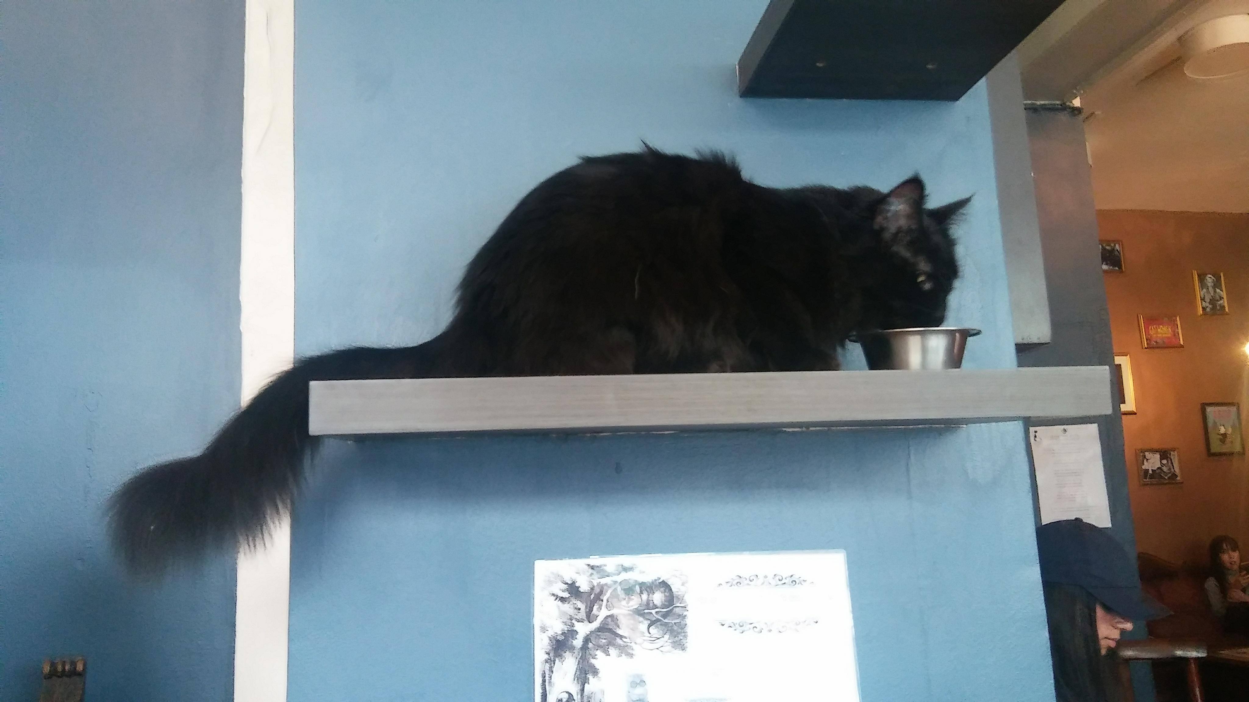 Photo n° 3 de l'avis de Lily. fait le 01/04/2018 à 14:21