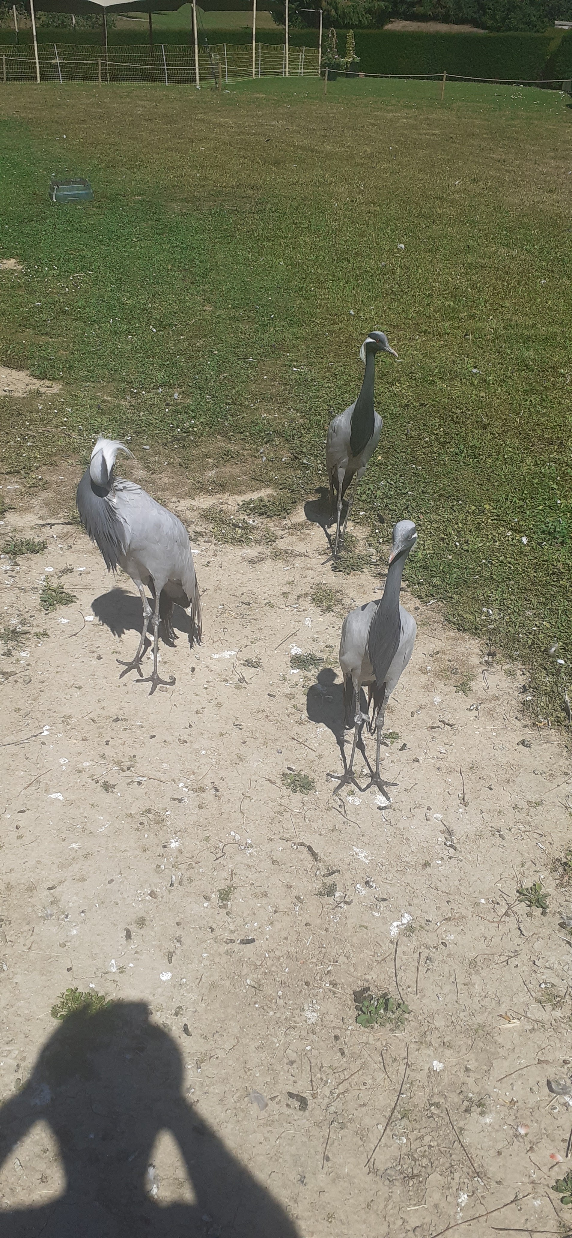 Photo n° 2 de l'avis de Guillaume.u fait le 20/07/2022 à 17:50