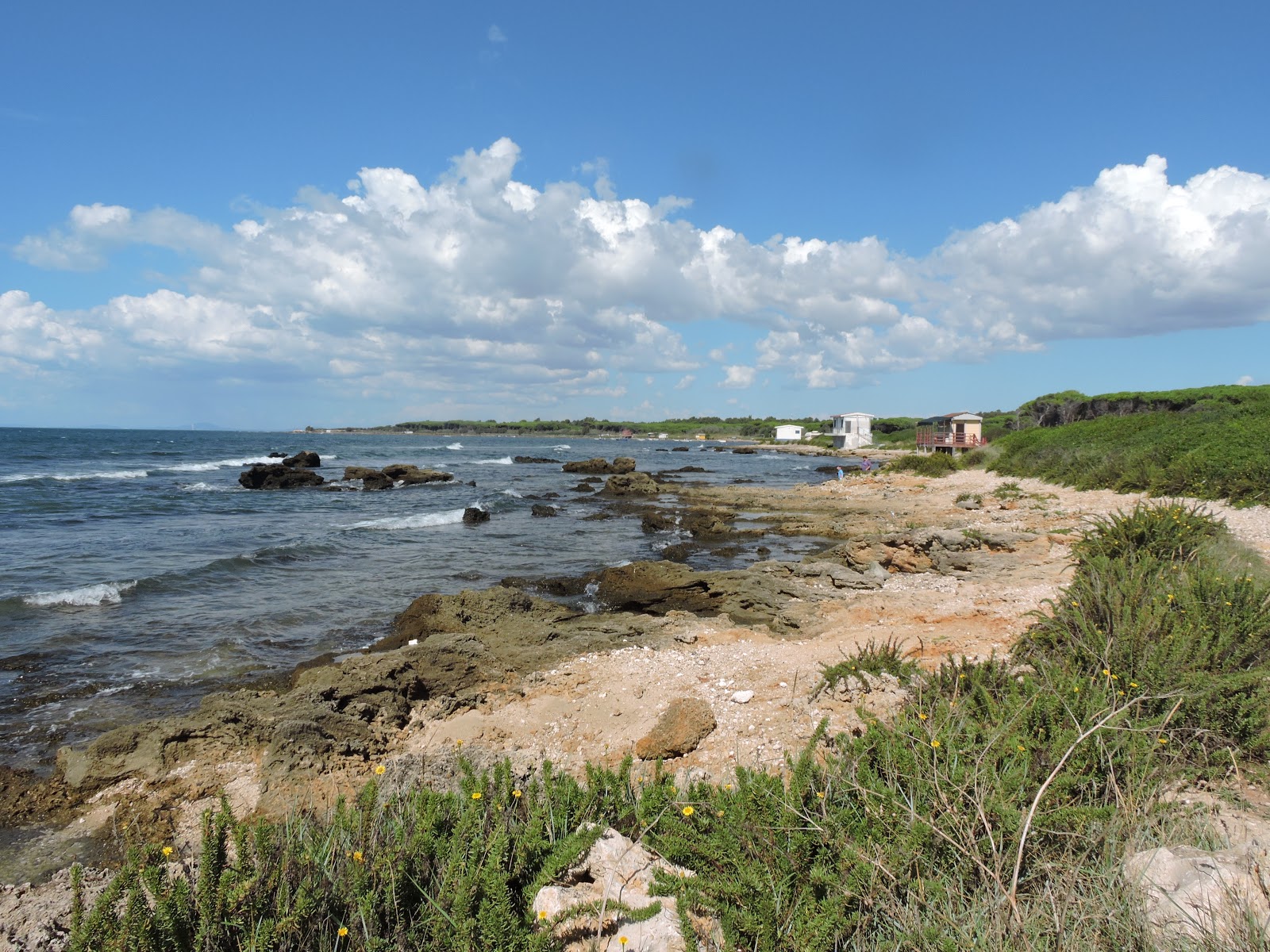 Foto av Tsunami Beach bekvämlighetsområde