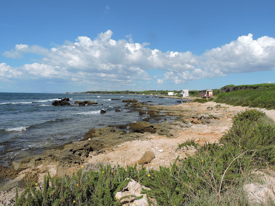 Tsunami Beach