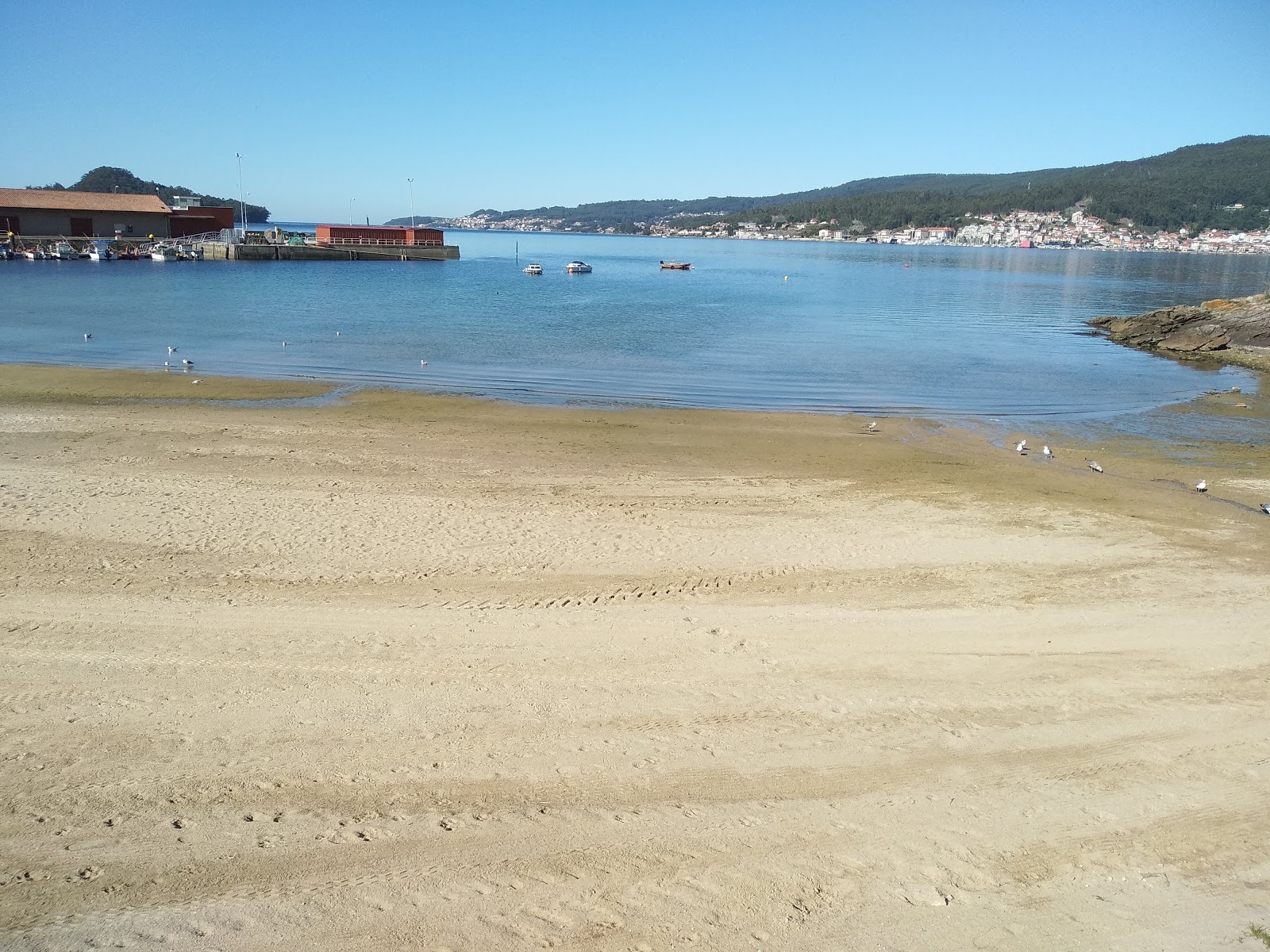 Photo de Praia de Campelo avec un niveau de propreté de sale