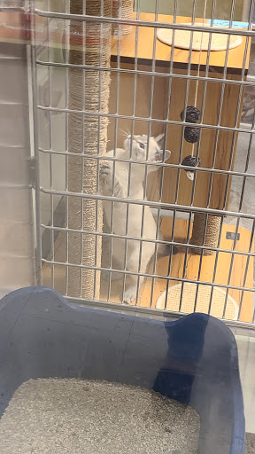 Pet Supply Store «PetSmart», reviews and photos, 1411 S Harbor Blvd, Fullerton, CA 92832, USA