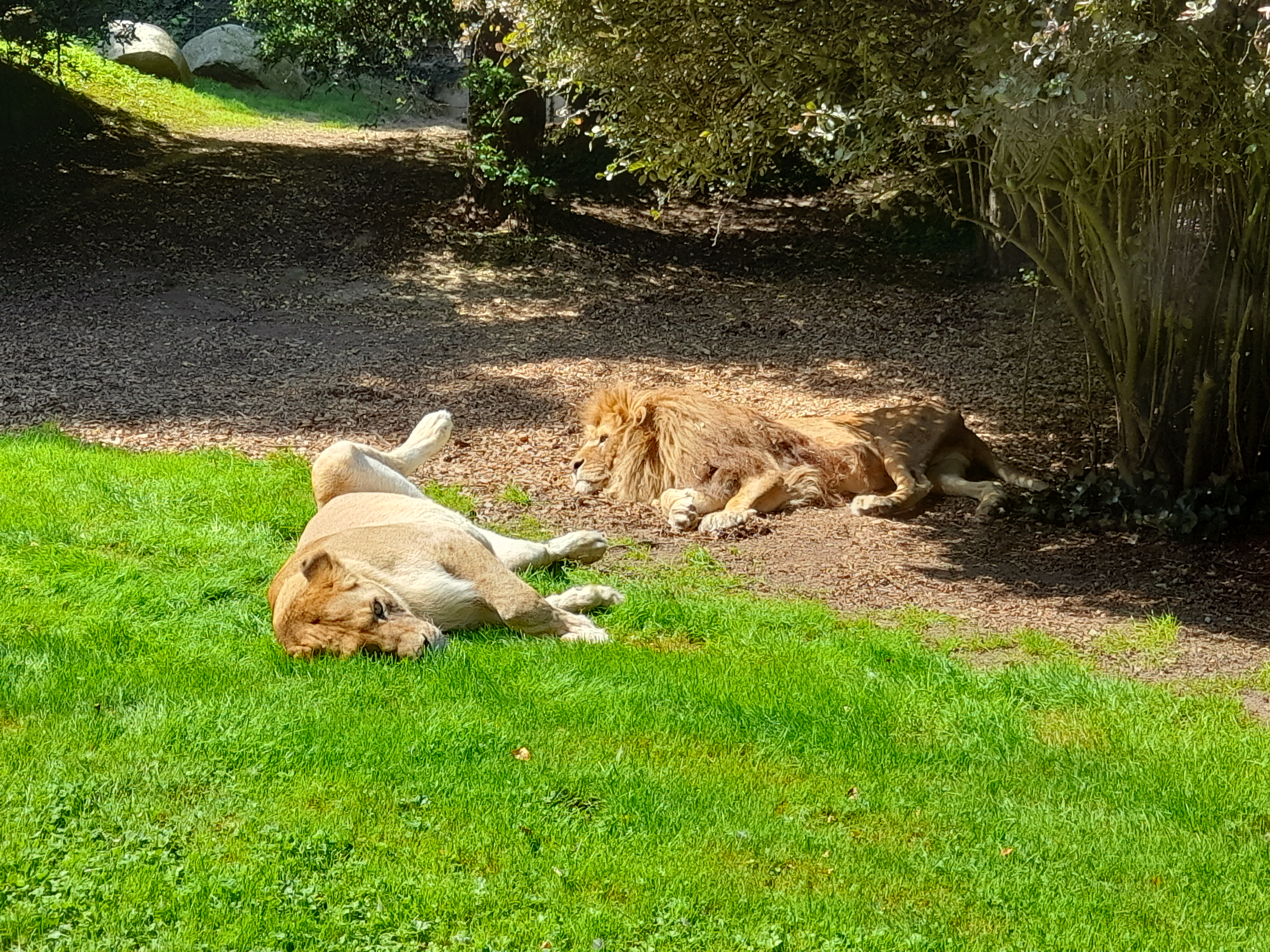 Photo n° 1 de l'avis de Juliette.a fait le 25/08/2021 à 15:22