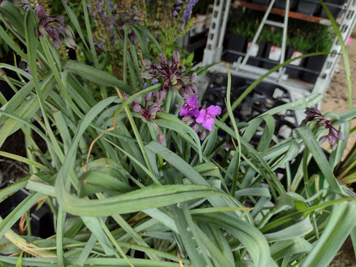 Home Improvement Store «The Home Depot», reviews and photos, 6199 Wilson Mills Rd, Highland Heights, OH 44143, USA