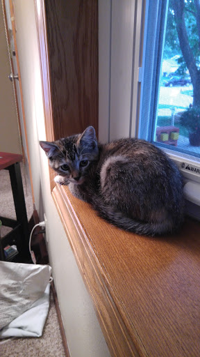 Golf Course «Jones Park Golf Course», reviews and photos, 2901 Fruitland Blvd SW, Cedar Rapids, IA 52404, USA