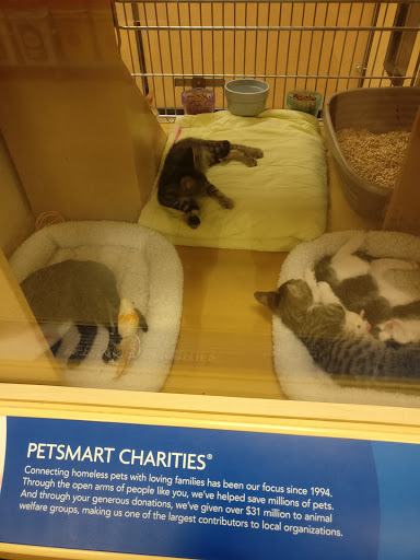 Pet Supply Store «PetSmart», reviews and photos, 14420 Farm to Market 2920, Tomball, TX 77377, USA