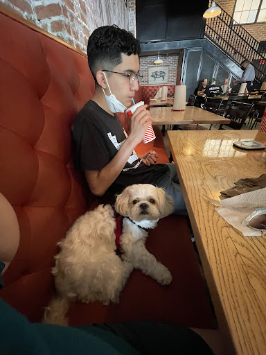 Pet Store «DipidyDawg Gourmet Dog Bakery & Boutique», reviews and photos, 21301 S Tamiami Trail Suite 430, Estero, FL 33928, USA