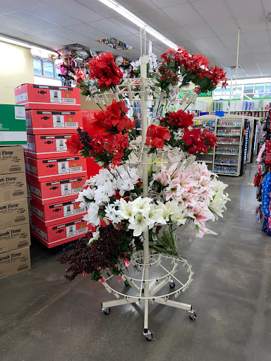 Dollar Store «Dollar Tree», reviews and photos, 3544 Canton Rd, Marietta, GA 30066, USA
