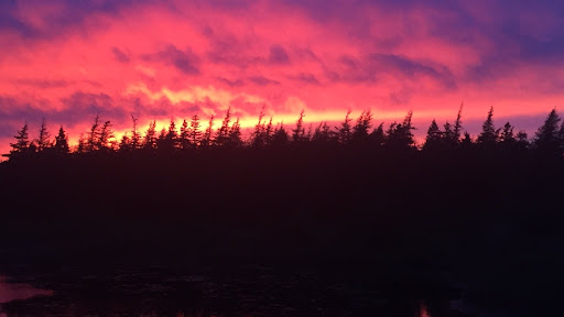 Thrift Store «Second Blessing Thrift Store Inc.», reviews and photos, 2323 Central Ave, Wichita, KS 67214, USA