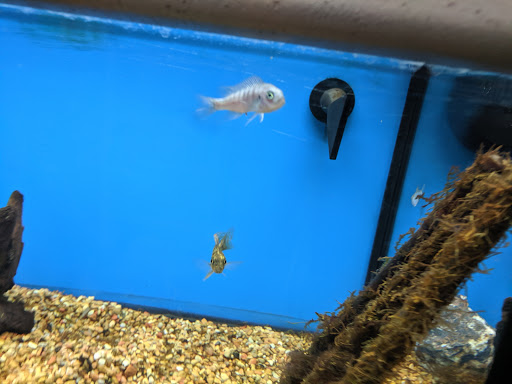 Pet Supply Store «Petco Animal Supplies», reviews and photos, 1086 Killingly Commons Drive, Dayville, CT 06241, USA