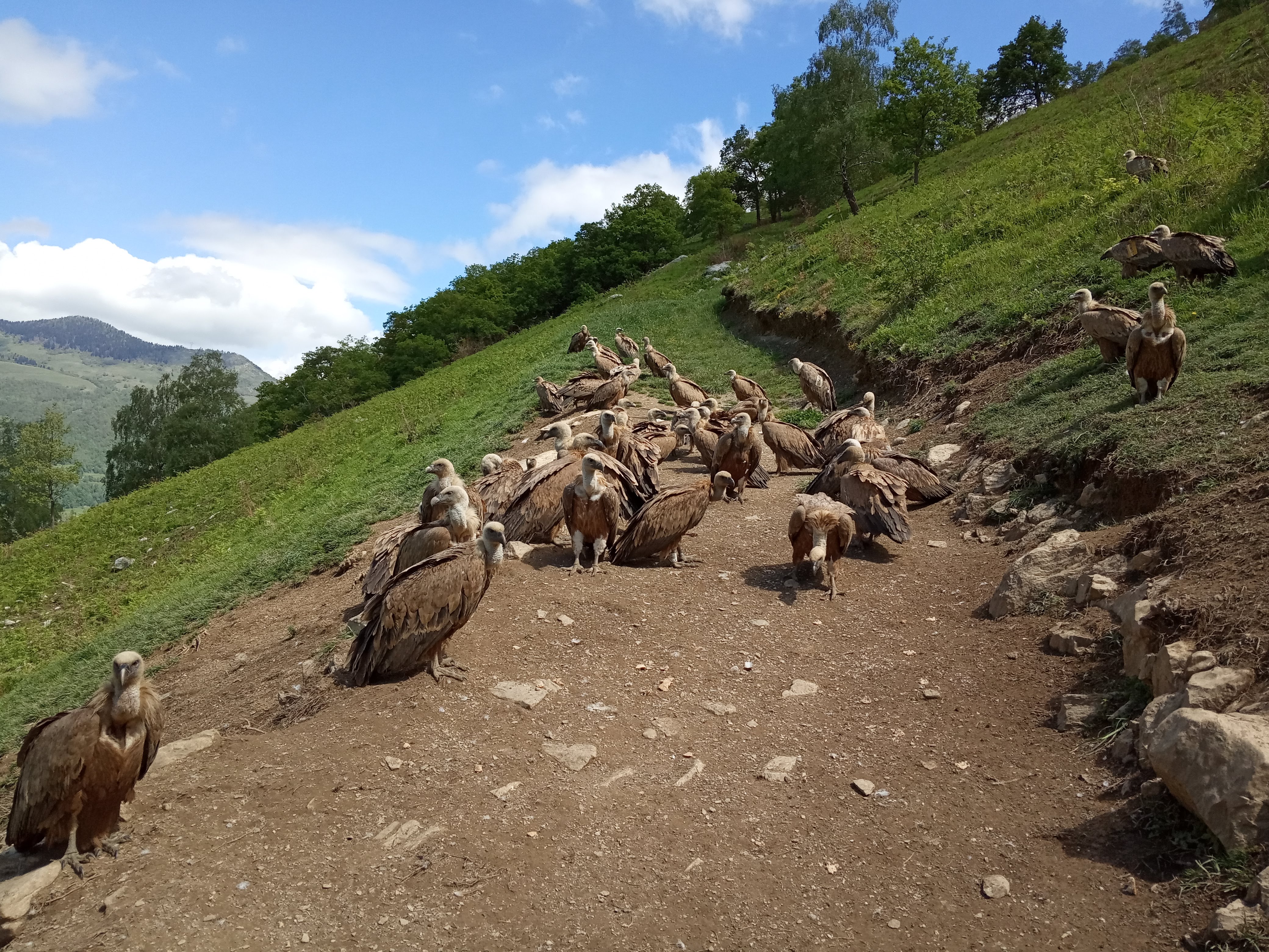 Photo n° 1 de l'avis de tof.t fait le 21/05/2019 à 05:19