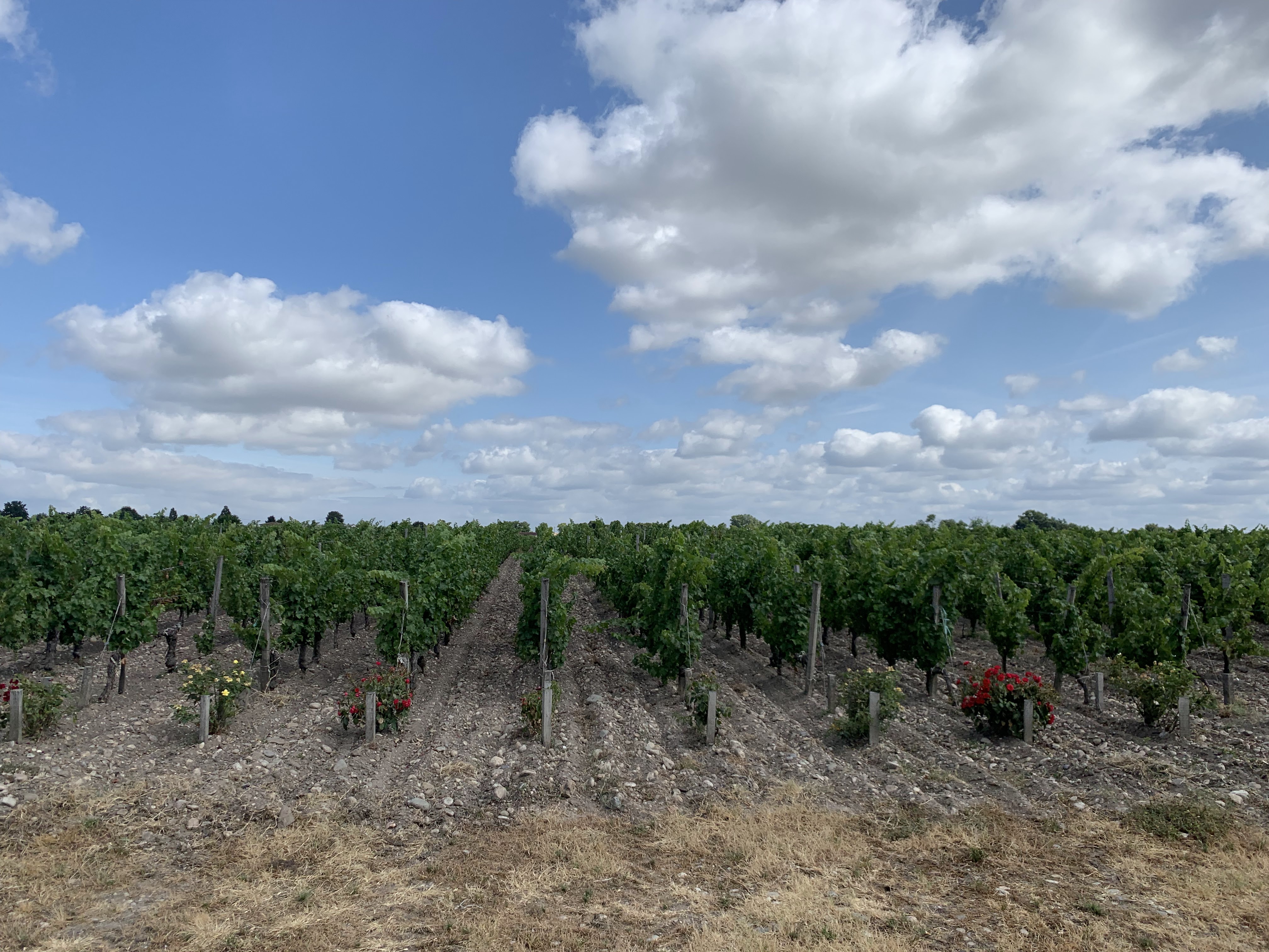 Photo n° 2 de l'avis de Joseph.o fait le 18/07/2019 à 16:24