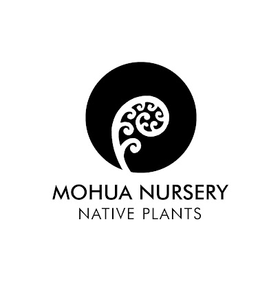 Mohua Nursery