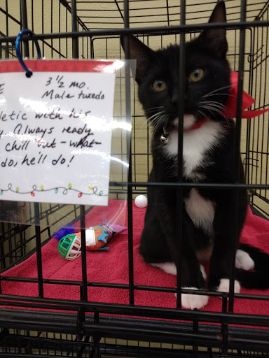 Pet Supply Store «PetSmart», reviews and photos, 3630 Peachtree Pkwy, Suwanee, GA 30024, USA