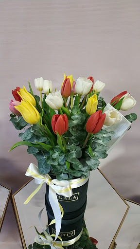 Florería D’Gala – Mexicali