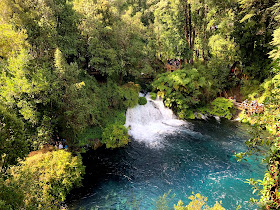 Los Ojos del Caburgua y su laguna azul