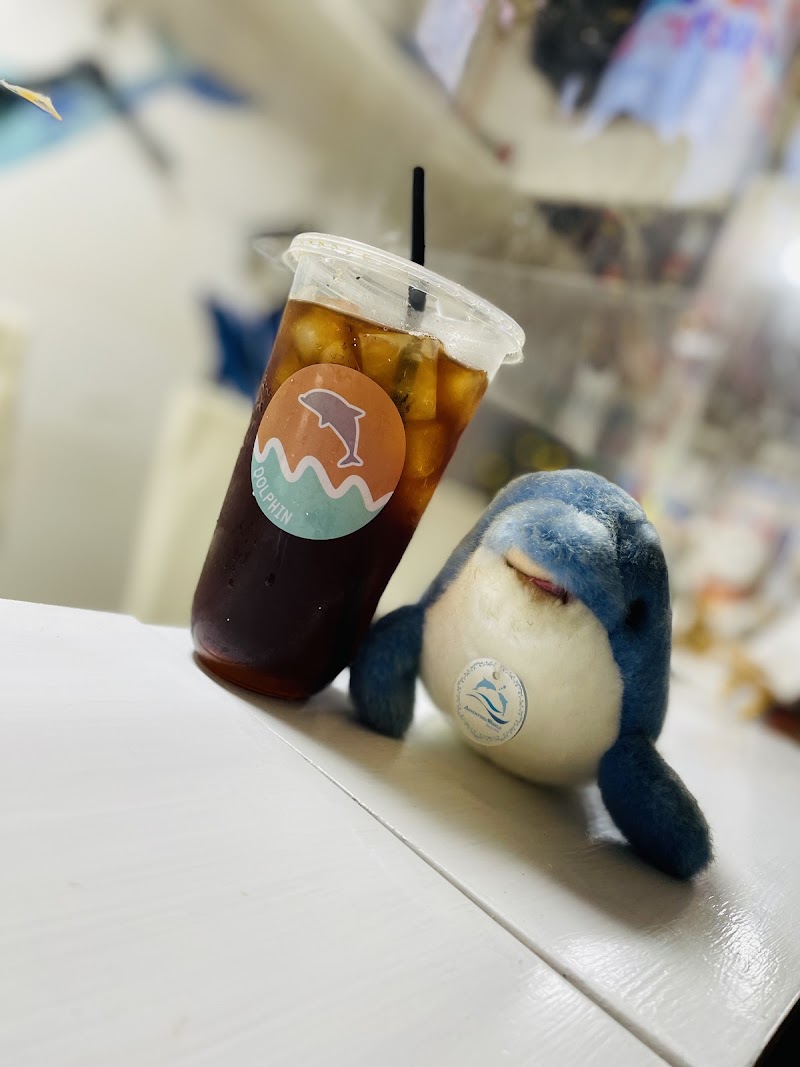 Cafe Dolphin