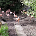 Photo n° 1 de l'avis de Kevin.u fait le 11/04/2018 à 09:33 pour Zoo de Maubeuge à Maubeuge