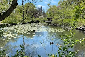 Alfred Caldwell Lily Pool image