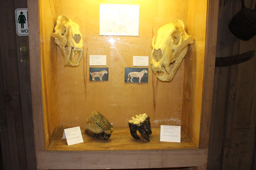 Park «Arch Creek Park», reviews and photos, 1855 NE 135th St, North Miami, FL 33181, USA