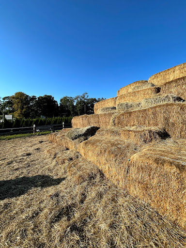 Farm «Alstede Farms», reviews and photos, 1 Alstede Farms Ln, Chester, NJ 07930, USA