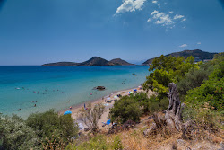 Photo de Tolo Beach avec un rivage spacieux