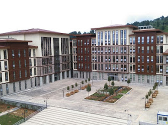 Rize Üniversitesi İlahiyat Fakültesi