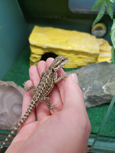 Pet Supply Store «Pet Supplies Plus», reviews and photos, 1150 N Court St #2A, Medina, OH 44256, USA