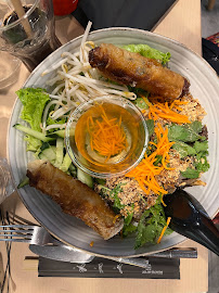 Rouleau de printemps du Restaurant vietnamien Chez Loan à Mimizan - n°19