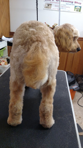 Pet Supply Store «Pequannock Feed & Pet Supply», reviews and photos, 85 Marshall Hill Rd, West Milford, NJ 07480, USA