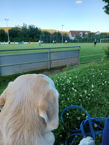 Rezensionen über Fussballclub Urdorf in Wettingen - Sportstätte