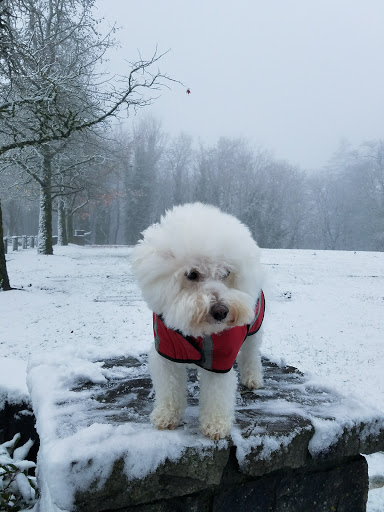 State Park «Willamette Stone State Heritage Site», reviews and photos, 253 NW Skyline Blvd, Portland, OR 97210, USA