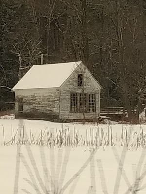 Roxbury State Forest - photo 33
