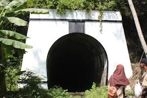 Wilhelmina Railway Tunnel 1916 image