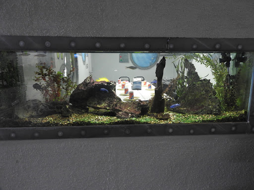 Amusement Center «Action City Trampoline Park & Fun Center», reviews and photos, 2402 Lorch Ave, Eau Claire, WI 54701, USA