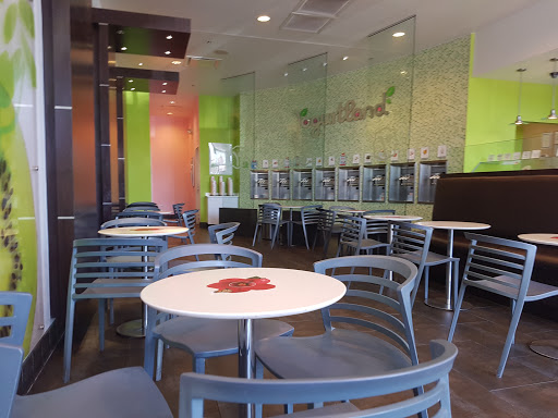 Frozen Yogurt Shop «Yogurtland», reviews and photos, 4170 Lavon Dr #176, Garland, TX 75040, USA