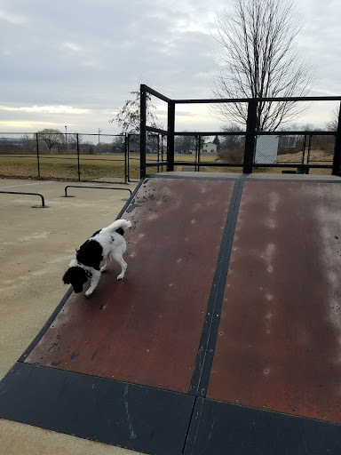 Park «Hampe Park», reviews and photos, 297 W Lies Rd, Carol Stream, IL 60188, USA