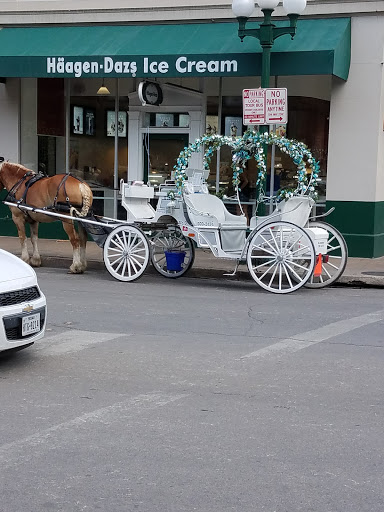 Shopping Mall «Shops at Rivercenter», reviews and photos, 849 E Commerce St, San Antonio, TX 78205, USA