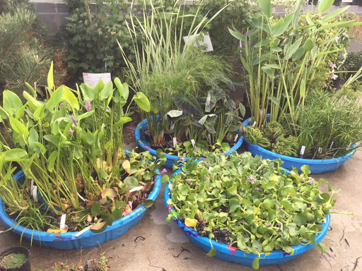 Hardware Store «Johnsons Home & Garden», reviews and photos, 26625 Maple Valley Black Diamond Rd SE, Maple Valley, WA 98038, USA